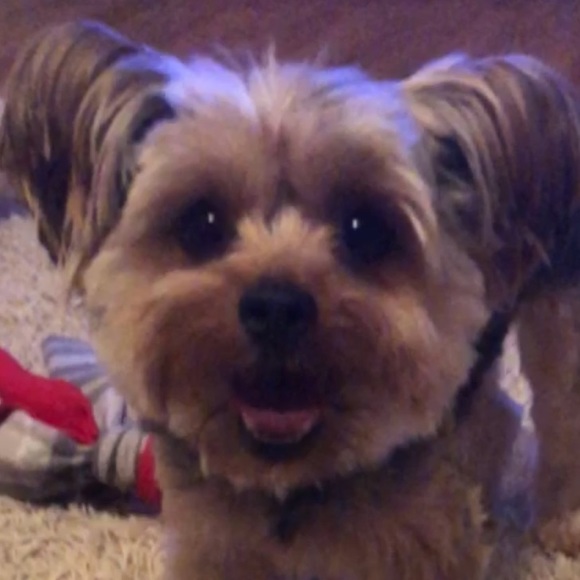 Meet your Posher, Kayla - Picture 1 of 1